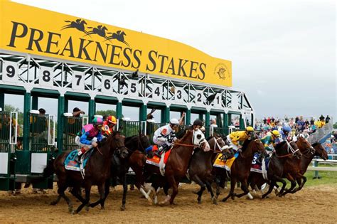 online betting preakness stakes